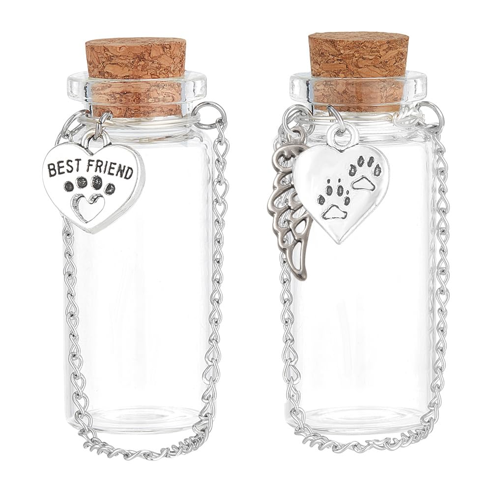 PH PandaHall 2pcs Pet Hair Memorial Bottle, Pet Memorial Urn Glass Vial Clear Cat Dog Hair Keepsake Ashes Holder with Hanging Chain for Pet Loss Bereavement Home Decor Sympathy Gift, 8.3cm