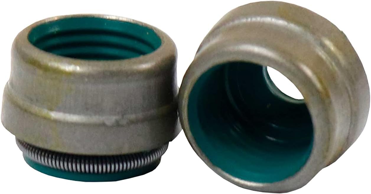 DNJ VSS343 Valve Stem Seals For 11-19 Buick Cadillac Chevrolet Cruze 1.4L DOHC