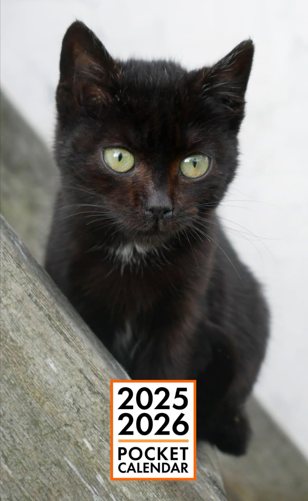 Pocket Calendar 2025-2026 for Purse – Black Kitten | 2 Year Pocket Planner January 2025 - December 2026 | Small Pocket Size 4 x 6.5 | Sketches of Cats in the Middle
