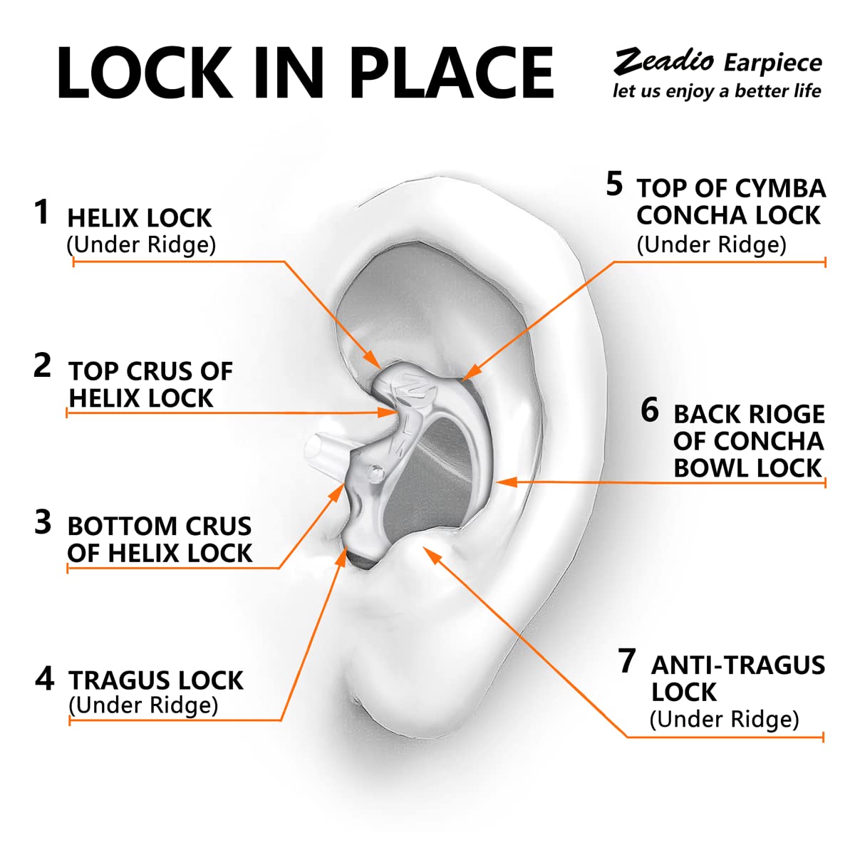 Zeadio Lot de 40 bouchons d'oreille pour radio bidirectionnelle Transparent