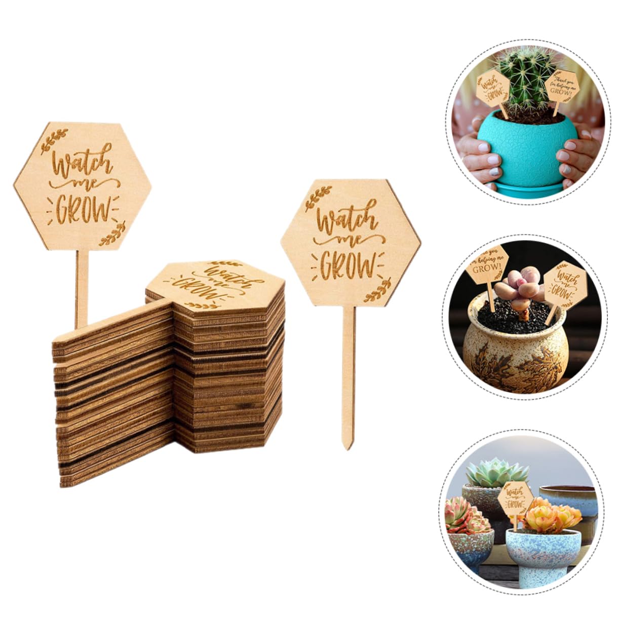 Toyvian 3 Sätze Holzetikett Im Freien Pflanzenanhänger Wasserfest Gartenschild Pflanzenpfahl Sukkulenter Marker Gartenpflanzenmarker Etiketten Stichworte 40 Stück * 3