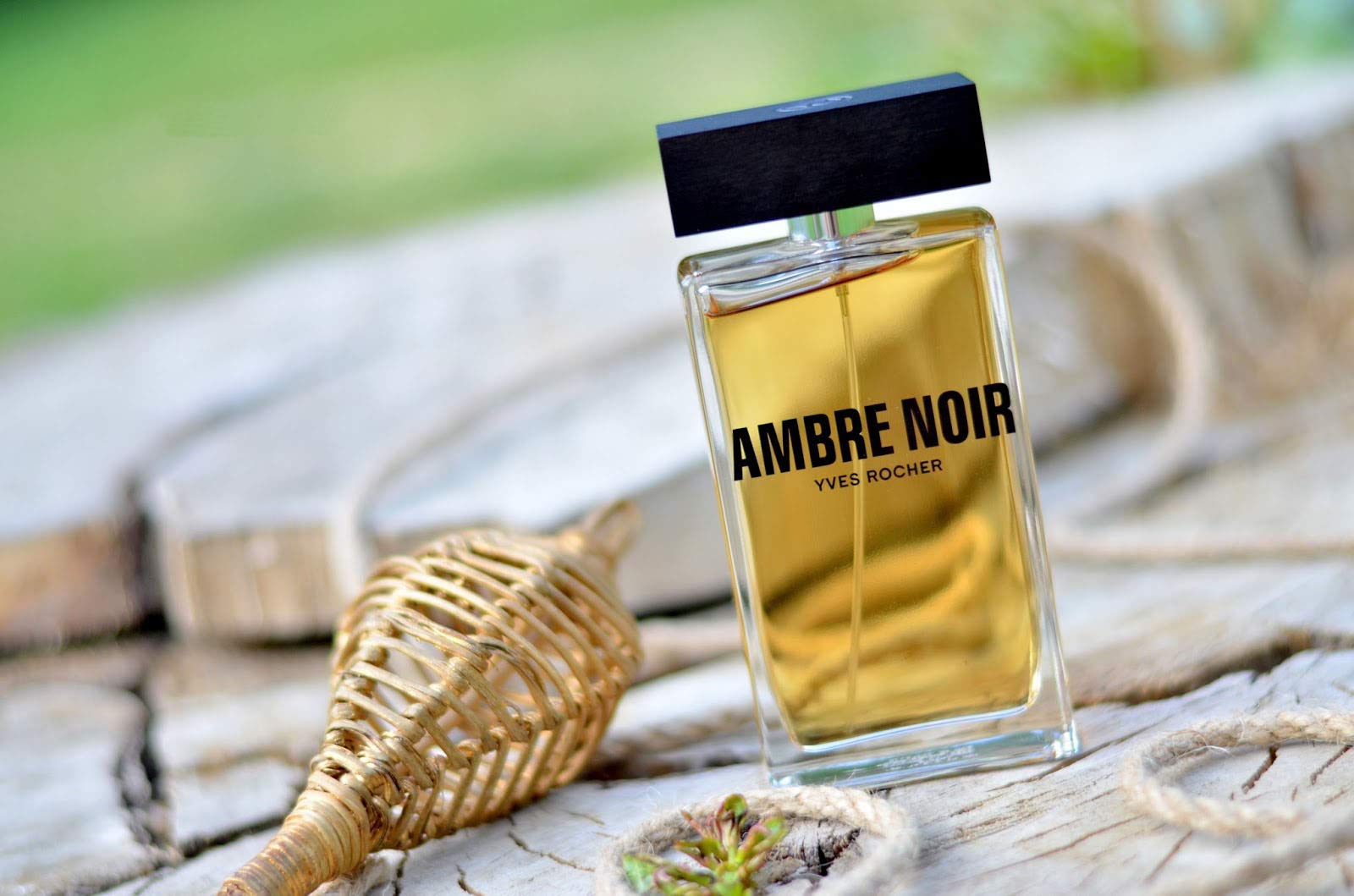 Gemme ancienne d'ambre - France