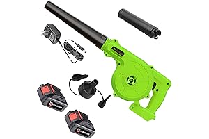 Powerhouse 2-in-1 Electric Mini Leaf Blower and Vacuum, a Force to Reckon with