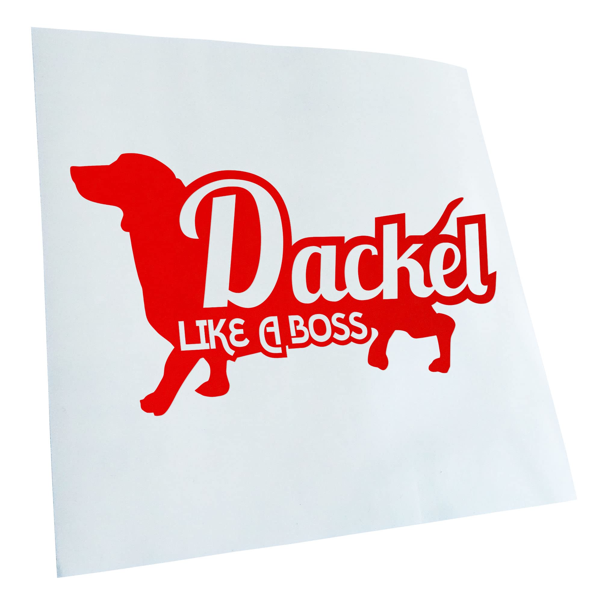 Kiwistar - Car Sticker - Red - 60 x 33 cm Dachshund Like a Boss Dachshund - Rear Window Car Sticker Weatherproof for Car Truck Moped Truck - Sticker Exterior Self-Adhesive Tuning Accessories for