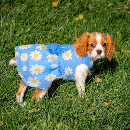 5 Pack Girl Dog Clothes Floral Summer Puppy Princess Bowknot Dog Dresses for Small Dogs Girl Clothes Cute Outfits for Boys Girls Pets Cats Dogs (Medium, Floral Summer) - Image 4