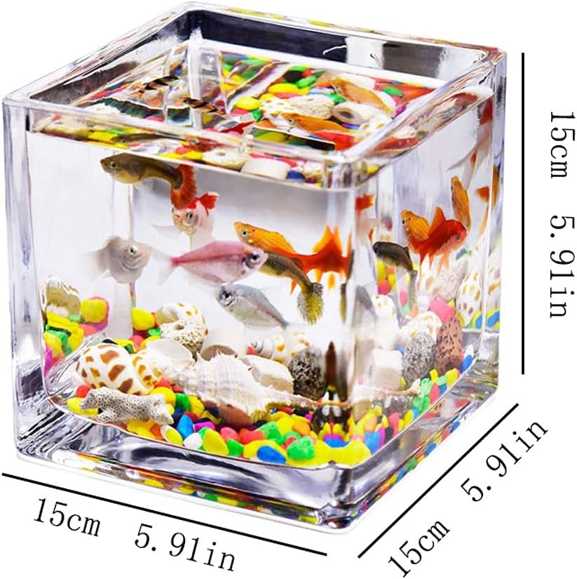 Fish Tank Desktop Square Transparent Glass Mini Office Household Fish Tank Water Grass Tank Betta Fish Ornamental Fish Small Fish Tank Aquarium Tank (Size : 5.91IN)