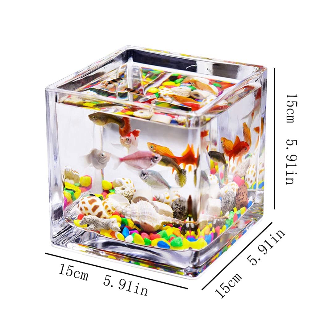 Acquario Desktop quadrato in vetro trasparente mini ufficio for la casa acquario for pesci acquario acquario acquario Betta pesci pesci ornamentali piccoli acquari Acquario per Pesci(5.91IN)