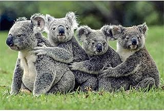 Comprar Yingxin34 Juego Intelectual de 1000 Piezas de Rompecabezas Cuatro Koalas Puzzle 1000 Piezas para Adultos Familia Rompecabezas Recuerdo Turismo Regalo 26X38cm(10.23X14.96inch)