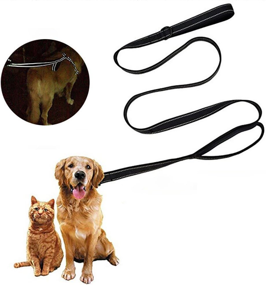 guinzagli a mani libere