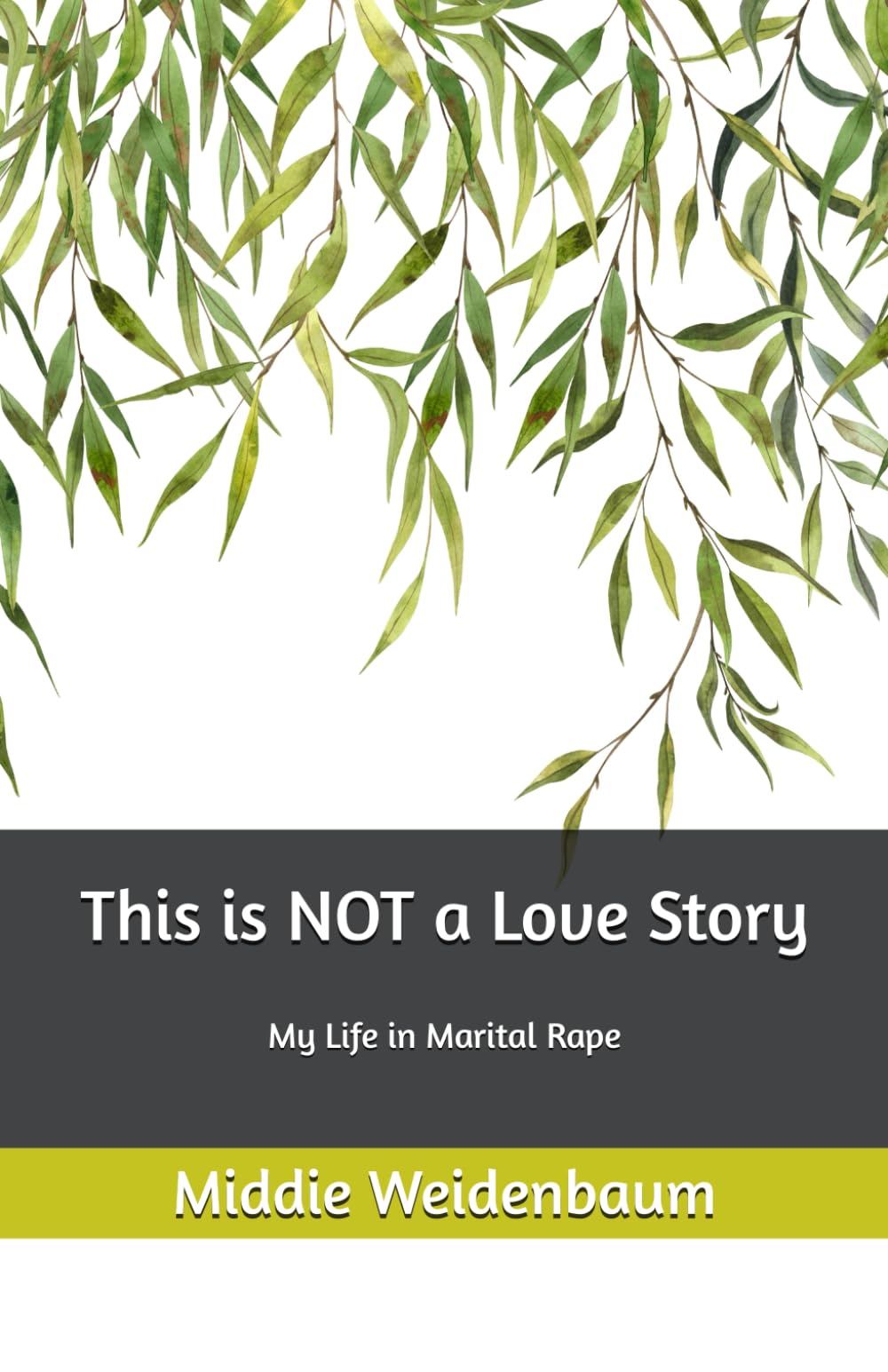 This is NOT a Love Story: My Life in Marital Rape