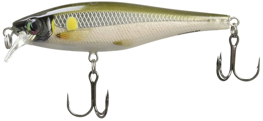 Amazon.co.jp: Rapala(ラパラ) ミノー BX ミノー 7cm 7g アユ