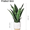 Product Photo 7