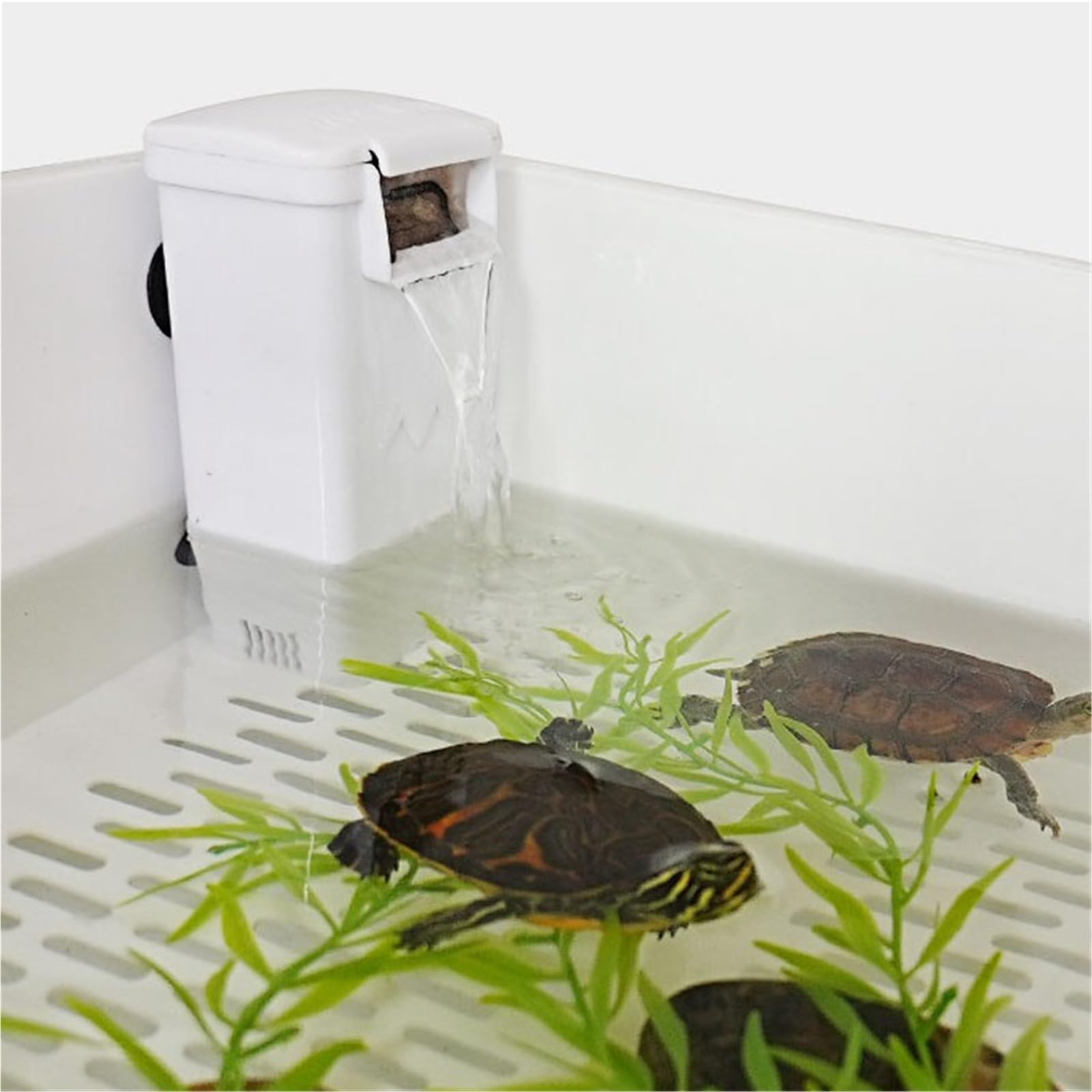 Siedlisko terrarium Zbiornik ekologiczny Turtle Dwuwarstwowy zbiornik toaletowy typu żółw z wydzielonym przeznaczeniem do użytku domowego Terrarium akwariowe(Duży)