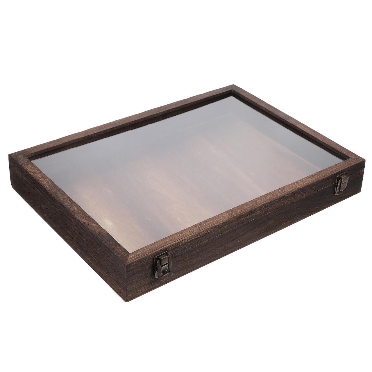 EXCEART Caja de muestras de insectos Contenedor de especímenes naturales exhibición de flores secas vitrina de mariposas estuche de almacenamiento para plantas