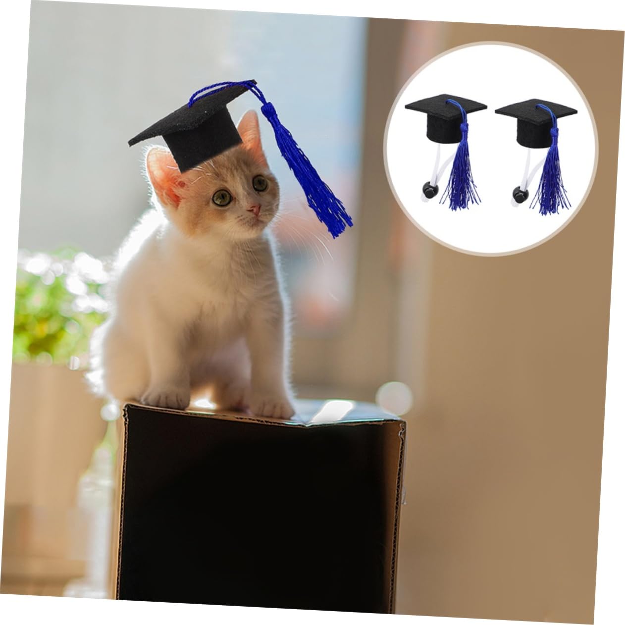 HEMOTON Dog Graduation Dr. Hat Blue Felt Cap Chin Cord for Small Pets Graduation