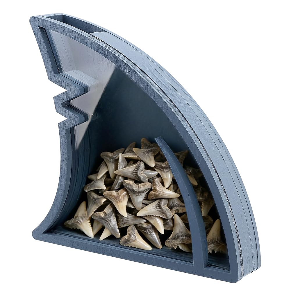 PH PandaHall Acrylic Shark Fin Display Case Gray Shark Shaped Shadow Box Acrylic Display Stand for Home Decor Office Display Shark Teeth Collection Gift, 6.3x1.1x6.1 inch