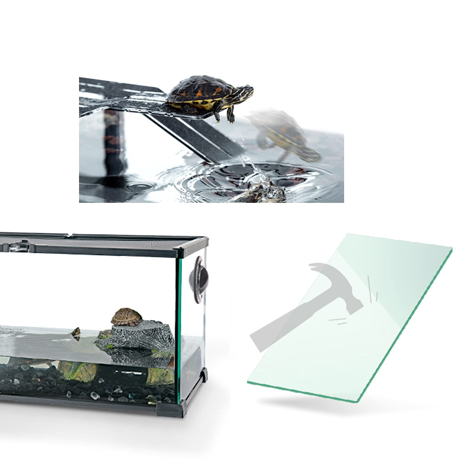 Serbatoio di tartaruga Tartaruga Tarcoise Terrazza Anfibio Ecologico Serbatoio Ecologico Glass Blank Turtle Terrario Villa Brasiliana Tartaruga Brasiliana Tartaruga acquatica Soggiorno Piccolo per Int