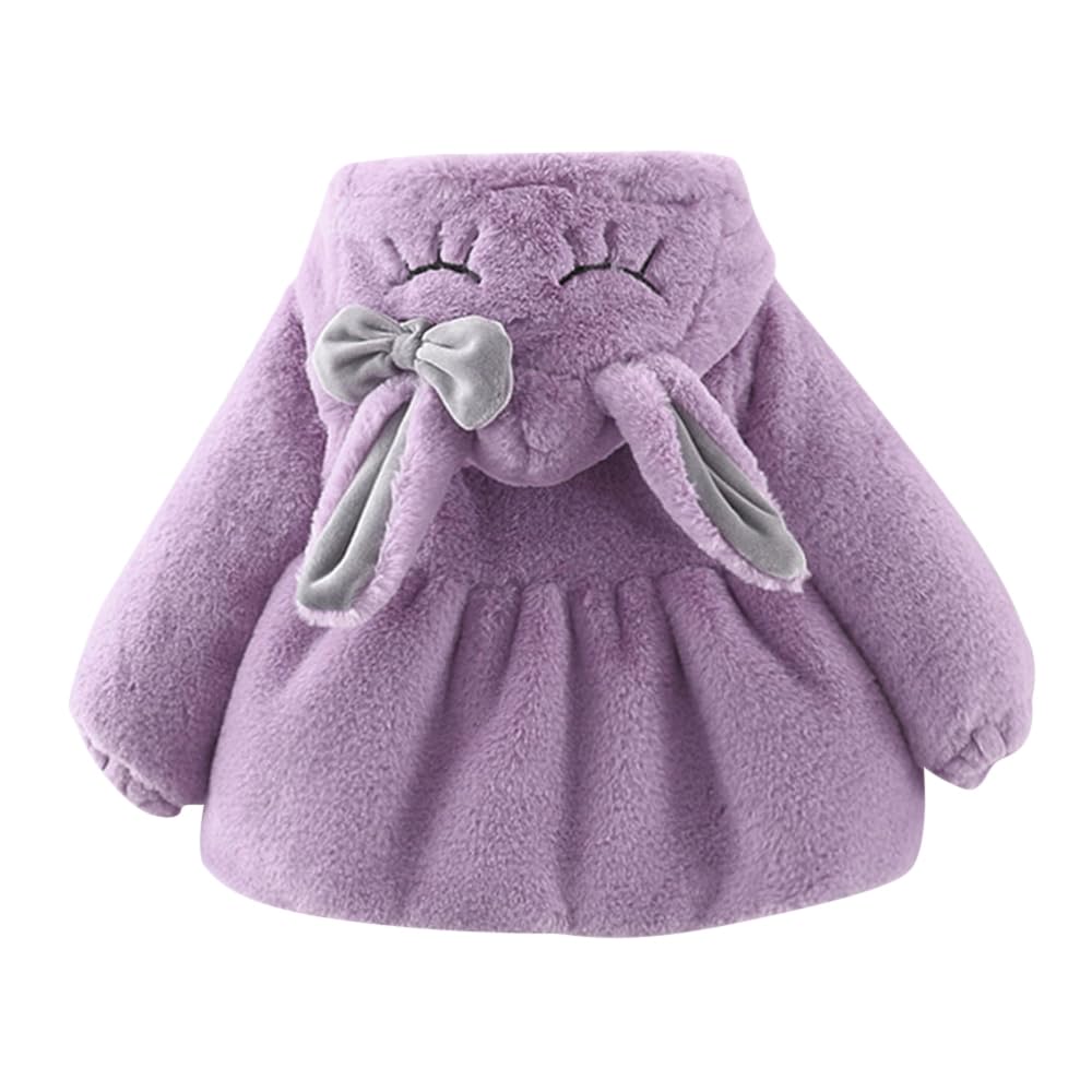 Hopscotch Baby Girls JoggerSet_WithSweatshirt/Jacket-2Pc Jackets Purple 9-12 Months (ADX-4252525)