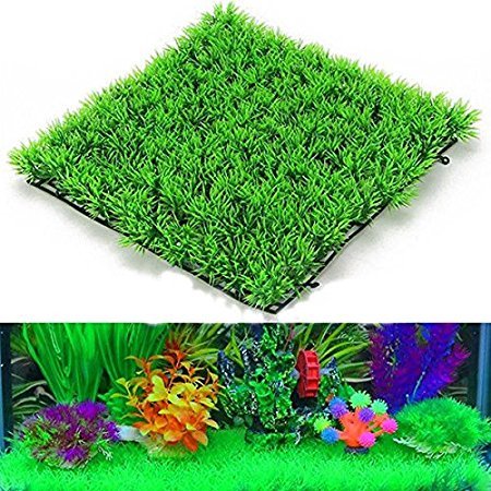 JAINSONS PET PRODUCTS Plastic Green Grass Square Mat For Aquarium Decoration (25Cm) (Pack Of 2) (B07CZJWBG4) Amazon Price History, Amazon Price Tracker
