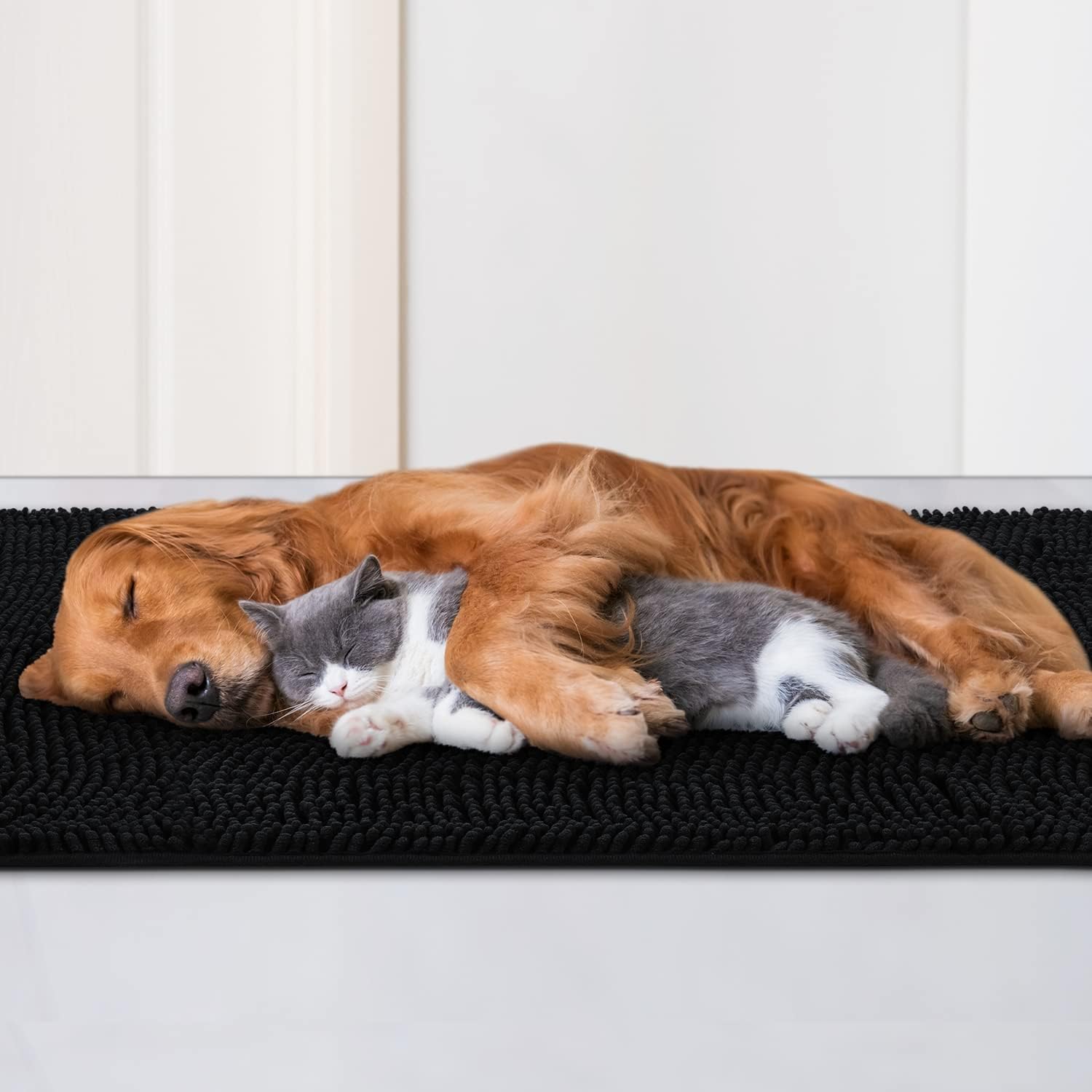 IM HOME Durable Chenille Absorbent Door Mat Outdoor Doormat 36" x 60", Muddy