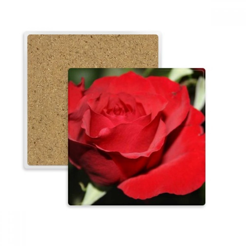 Coaster dessous de verre absorbant en pierre avec motif roses rouges