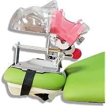 Human Body Model Dental Phantom Head Model,Portable Dental Simulator Phantom Head Dental Education Manikins for Training