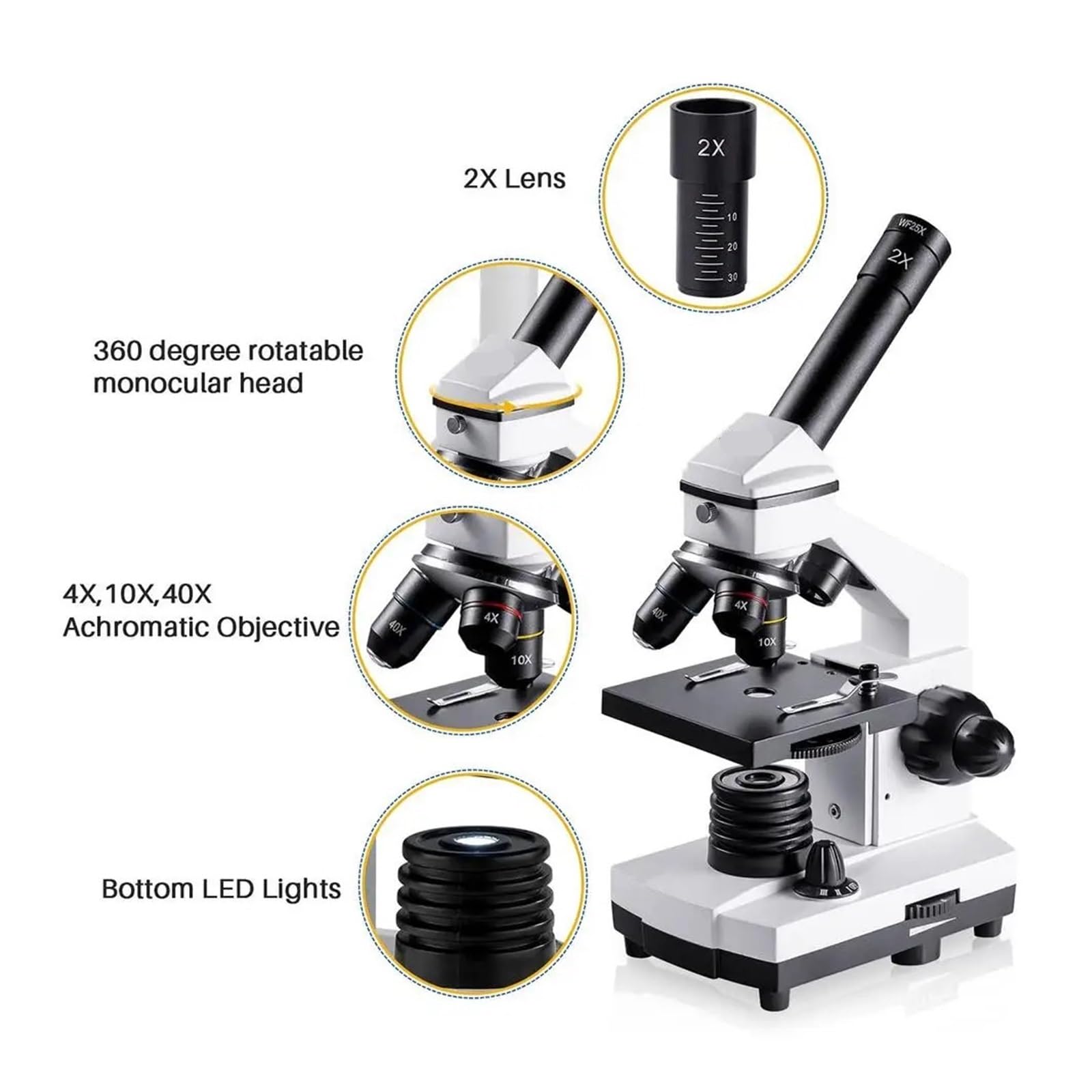 Biologisches Lichtmikroskop-Set 100x-2000x mit LED-Doppelbeleuchtungssystem und Objektträgern – Lehrmittel für Zuhause und Schule