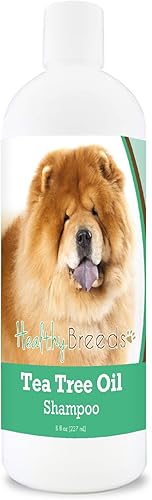 Healthy Breeds Chow Chow Champú de aceite de árbol de té, formulado para pieles secas e irritadas, reduce la caspa, aroma de gaulteria, 8 onzas
