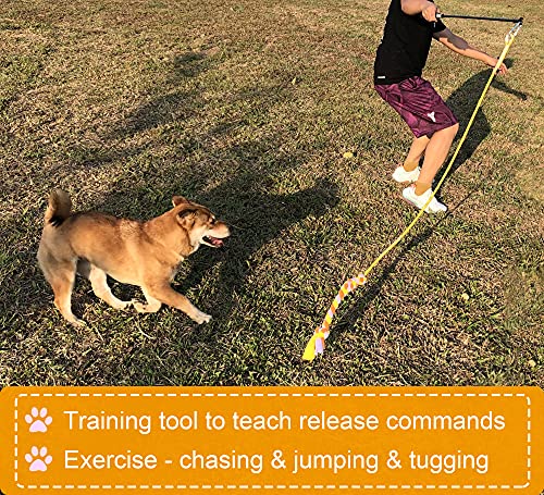 Dewonch Flirt Pole Dog Toys For Training & Exercise,Durable Teaser Stick With Fleece Rope Lure For Medium & Large Pets To Fetch Chase Pull And Tug Of War #TOP4