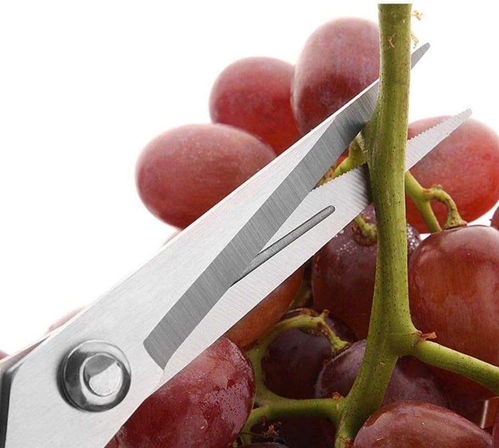 Garden Tool- Stainless Steel Pruning Shears Fruit Picking Scissors Household Potted Trim Weed Branches Small Gardening Tools Plant