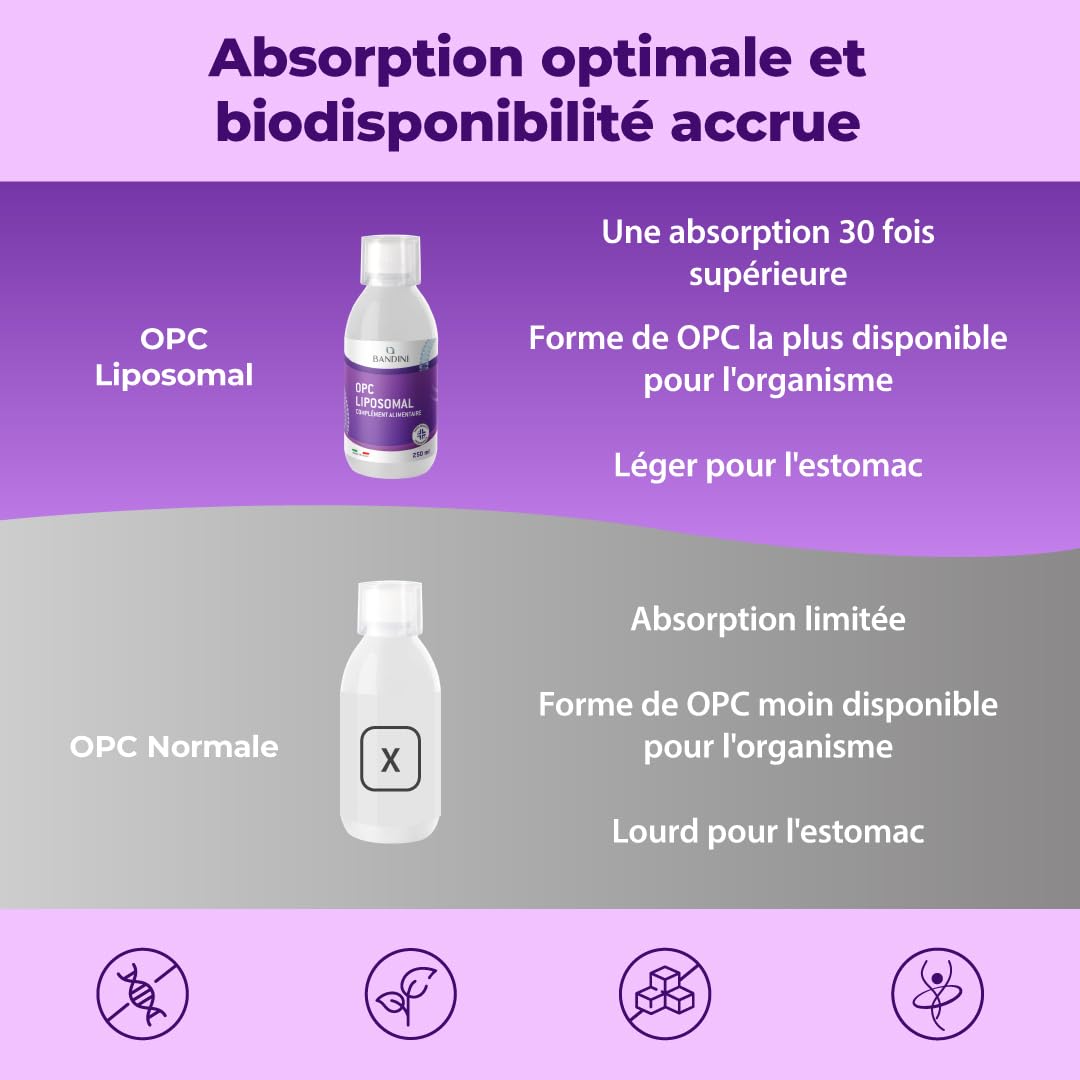 Bandini® OPC Liposomal Liquide 250ml - Extrait de pépins de raisin 95% OPC (200mg par dose) - Absorption optimale avec technologie liposomale - Supplément antioxydant naturel puissant - Pour 25 jours