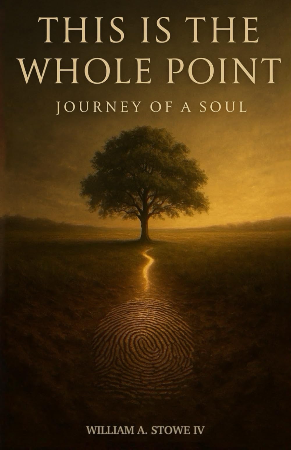 This is the Whole Point: Journey of a Soul