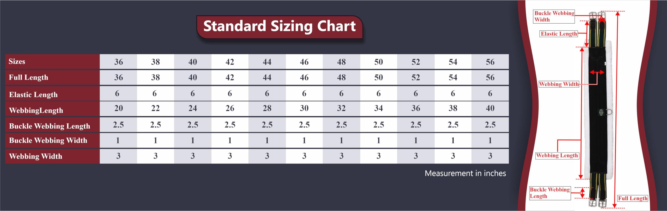 CHALLENGER Horse Western Floral Tooled Leather Rear Flank Saddle Cinch w/Billets 9788BR