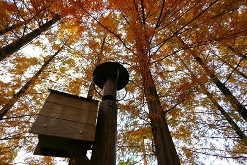 【日本の風景ポストカード】埼玉県あけぼの子供の森公園のハガキはがき1 photo by MIRO