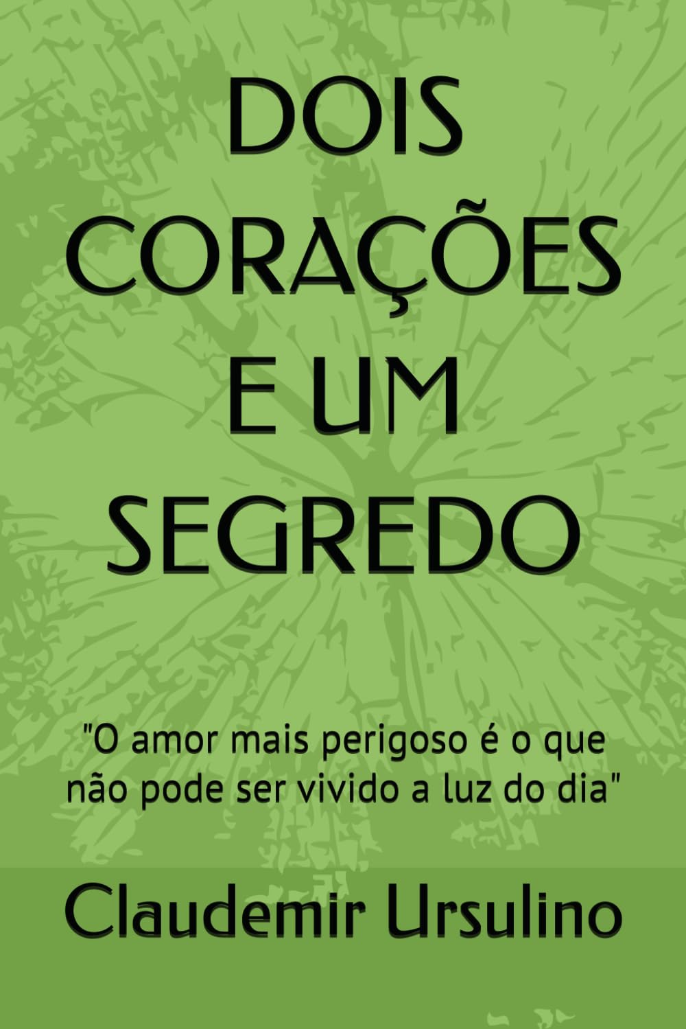 DOIS CORAÇÕES E UM SEGREDO: "O amor mais perigoso é o que não pode ser vivido a luz do dia"