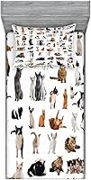 Vista 268 de Lunarable Grey Fitted Sheet & Pillow Sham Set, Pattern with Random Footprints Paw Traces Pet Legs Friendly Cats and Dogs, Decorative Printed 3 Piece