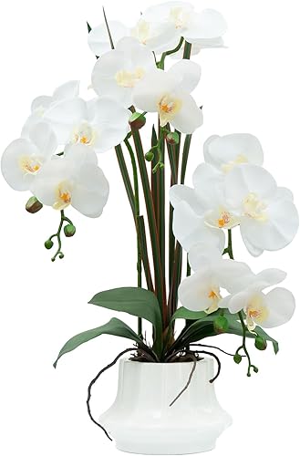 CXGS Planta de orquídea artificial de 20.9 pulgadas, orquídeas artificiales realistas de látex en jarrón de cerámica, orquídeas falsas blancas Pu-