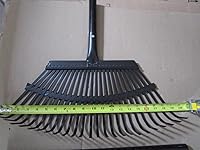 Review Image by Dana Dana