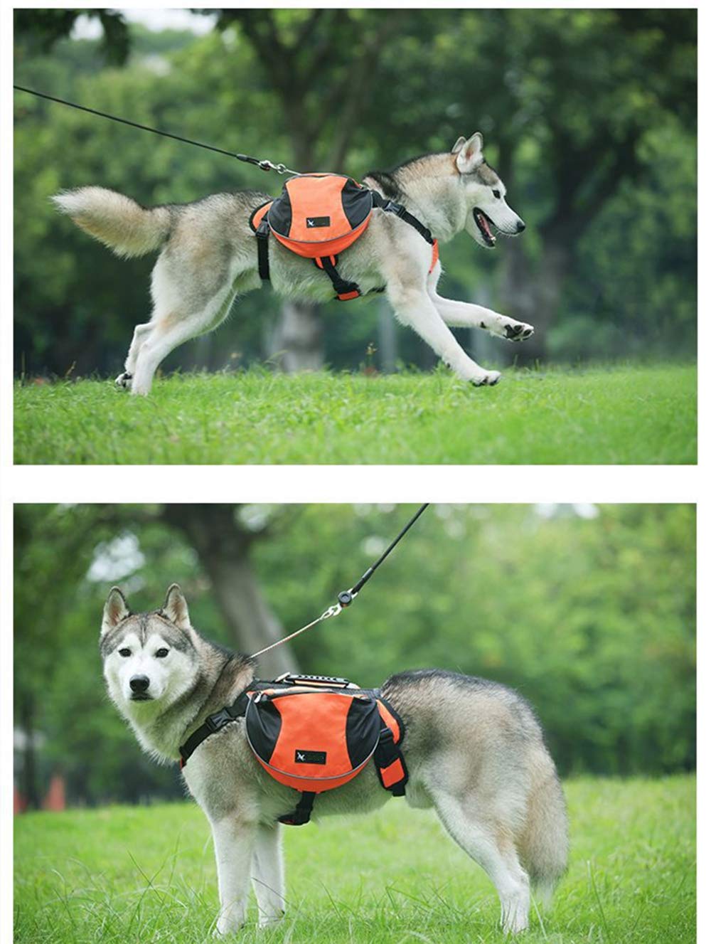 Sacoche de Selle Sac à Dos pour Chien Moyens & Grands, Harnasi Veste Gilet Imperméable Réglable Grande pour Voyage Entraînement Harnais Réfléchissant avec Poignée (Orange, M (Chien 18kg - 28kg))