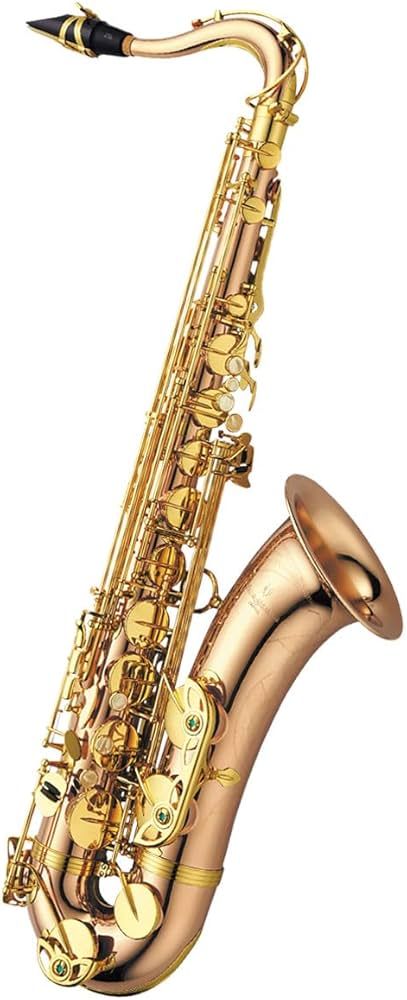 YANAGISAWA T-WO2 テナーサックス YANAGISAWA テナーサックス ヤナギサワ T-WO2 【調整