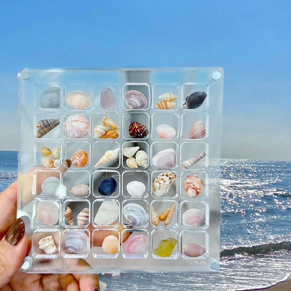 Kabwea Acryl magnetische schelp-displaybox, groot formaat, schelpverzameldoos, zeesterren, acryldoos, displaydoos voor kralen, nagels, schelpen, sieraden, 14 x 14 cm Kabwea Acryl magnetische schelp-displaybox, groot formaat, schelpverzameldoos, zeesterren, acryldoos, displaydoos voor kralen, nagels, schelpen, sieraden, 14 x 14 cm