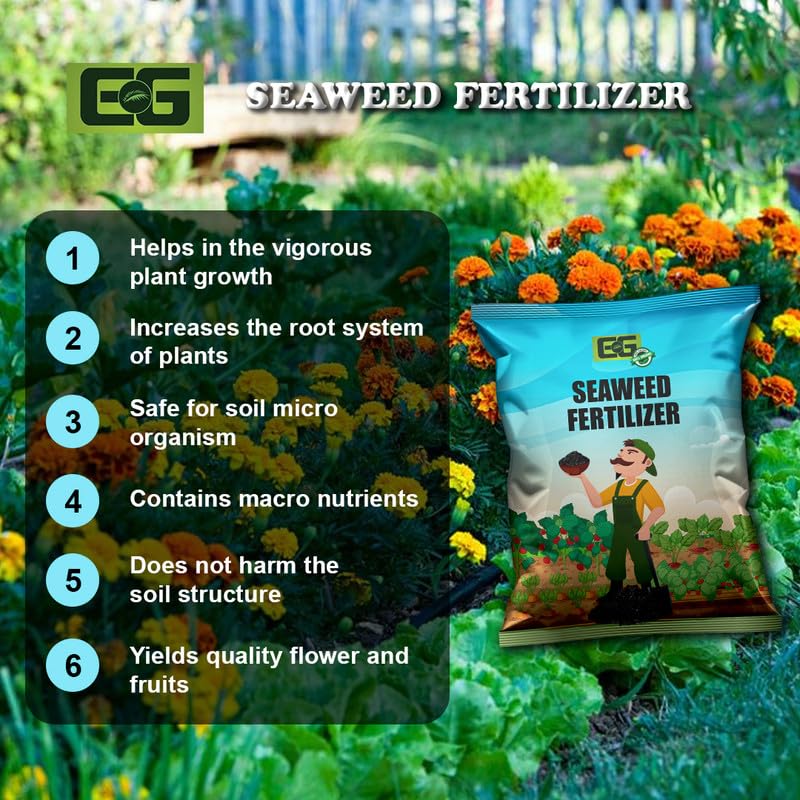 Image of Elamgreen Organic Seaweed Plant Fertilizer | Seaweed Granules for Healthy Home Gardening | Enhances Growth & Flowering in Vegetables, Fruits, and Flowers 5kg