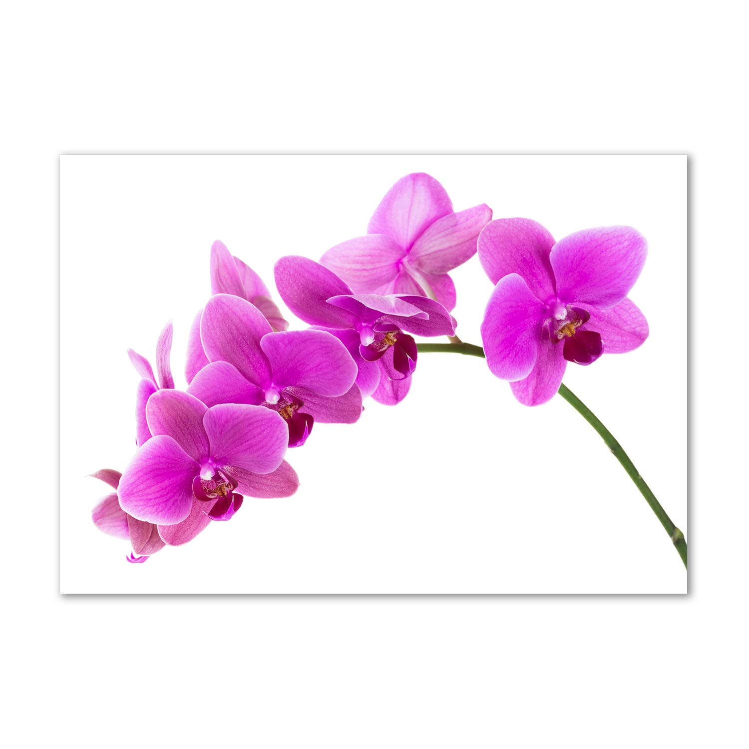 Tableau acrylique orchidée rose pour illuminer une pièce sombre facilement