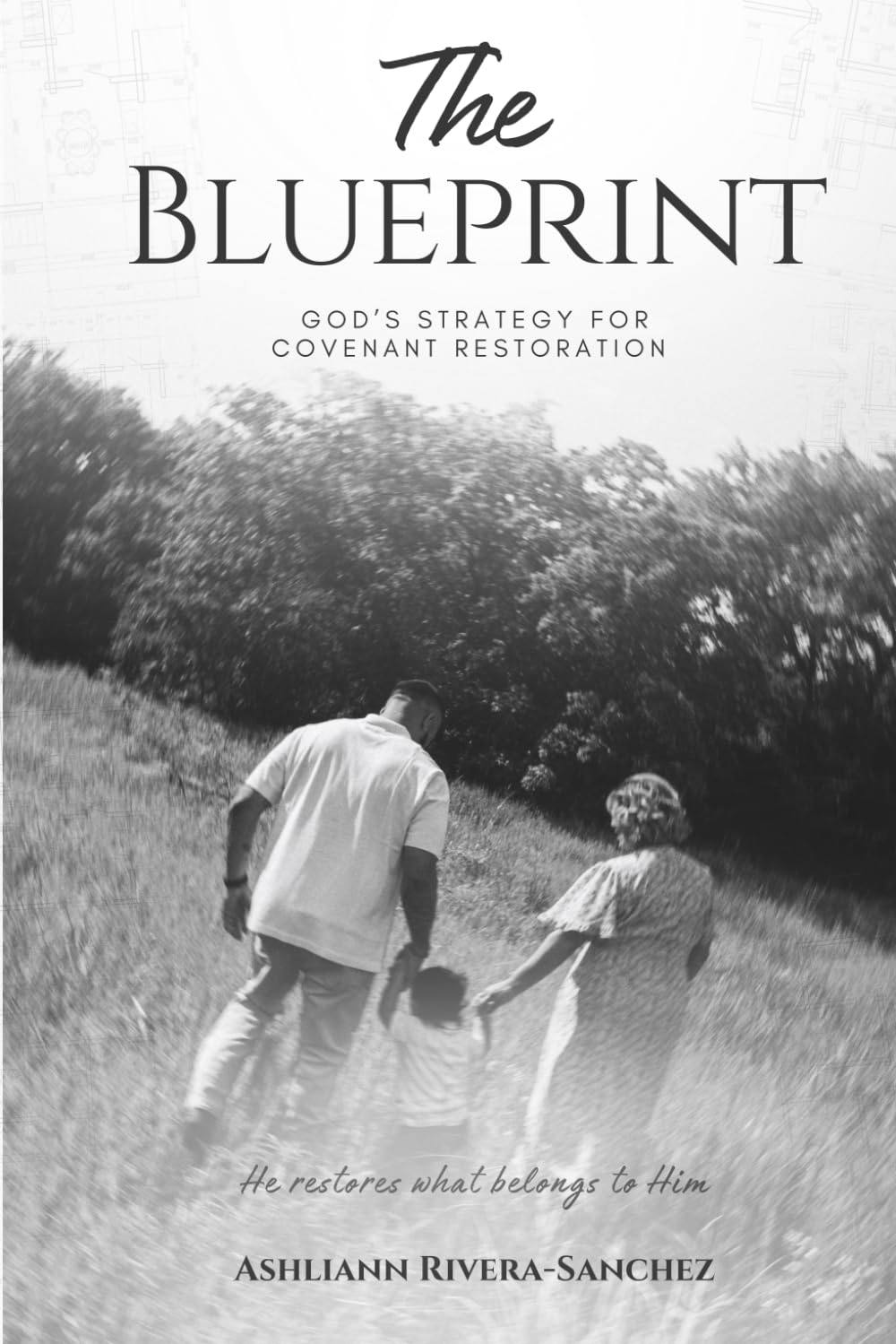 The Blueprint: God's Strategy for Covenant Restoration