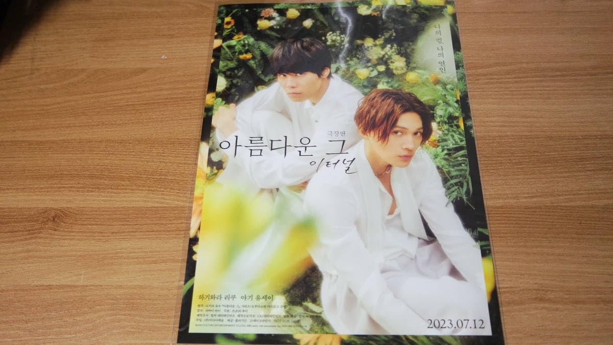 Amazon.co.jp: 萩原利久 八木勇征韓国「劇場版 美しい彼