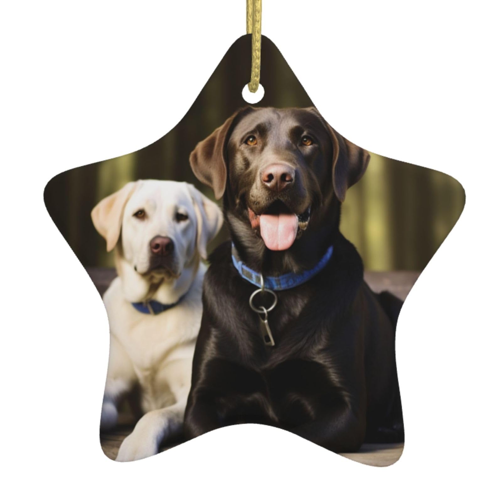 Fodpand Women's White Labrador Christmas Ornaments 2025, Gift Exchange For Men, Collectible Ceramic Ornament Star Hanging Ornaments For Christmas Tree Decoration