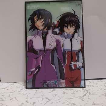 機動戦士ガンダム　シードデスティニー　アスラン・ザラ　シン・アスカ 61yLD08FjoL._UF350,350_QL50_.jpg