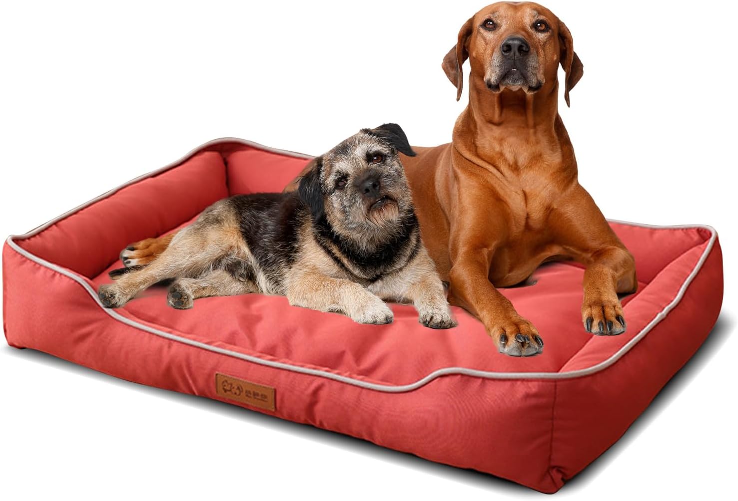 PETCUTE Orthopedic Dog Beds for Small Dogs,Washable Dog Sofa Bed with Nonskid Bottom,Rectangle,Waterproof Pet Bed for Medium Dogs,Calming Sleeping Anti Anxiety Durable Pet Cuddler