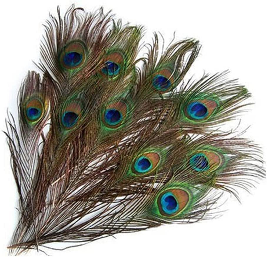 10 plumas de pavo real naturales con cola de ojos para decoración del hogar y boda