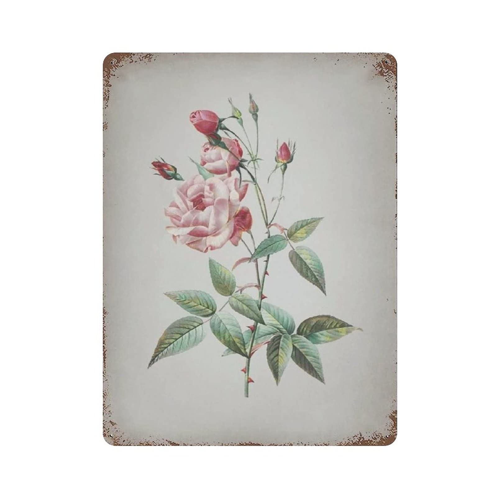 rayprint Beautiful Flower Tin Sign Metal Plaque Art Hanging Iron Painting Retro Home Kitchen Garden Garage Wall Decor 16"X12"